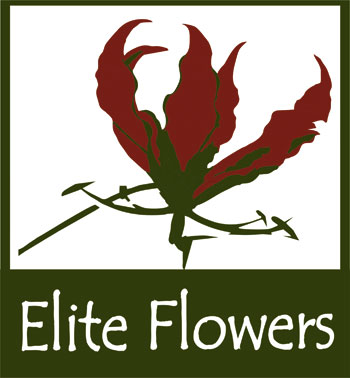 Elite Flowers